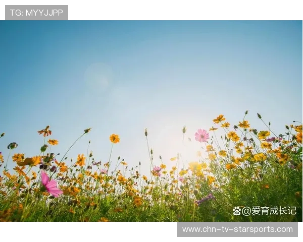 太阳继续往上走——追寻梦想的动力与希望