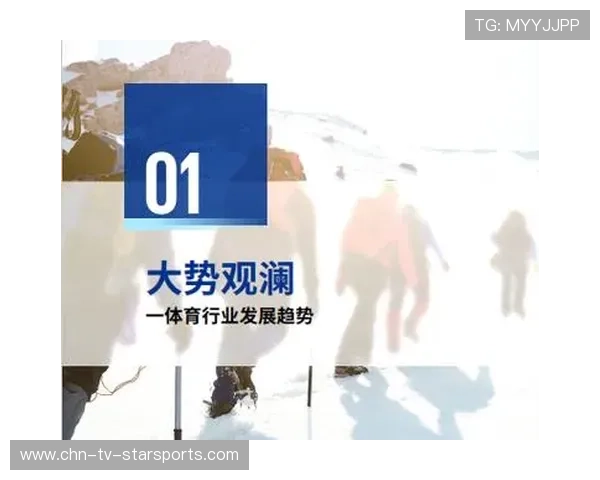 打造体育企业年度发展蓝皮书发布平台，体育产业白皮书