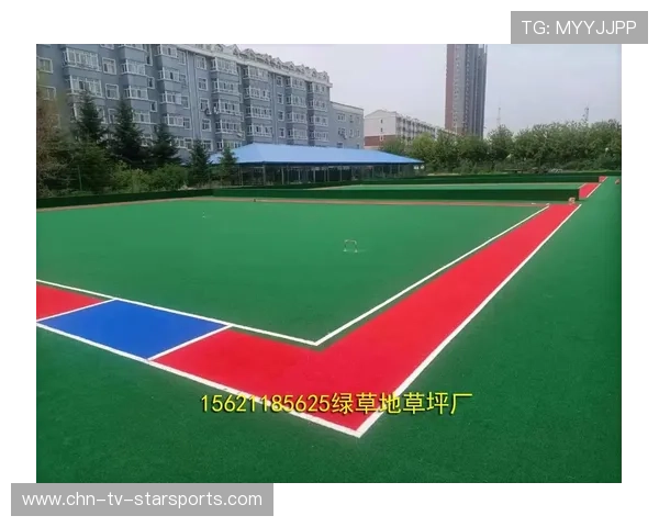 比赛在人工草场举行，速度与策略并重，国际比赛可以使用人工草坪吗